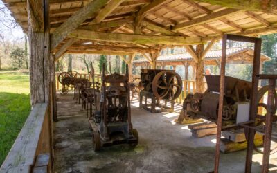 Le Site des Tuileries (Le Tâtre): Un Pique-nique Historique