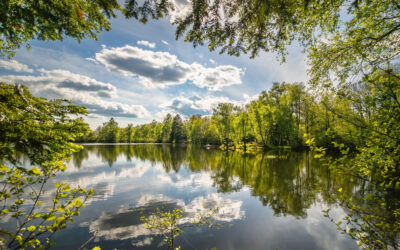 Au Cœur Vert et Sauvage: À la Découverte du Parc Naturel Régional Périgord-Limousin