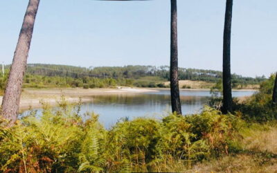 Tranquil Waterside Moments Exploring Étang des Belettes in Brossac