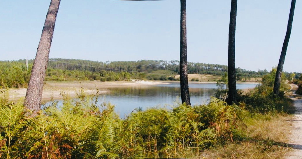 Ontdek de rustgevende sfeer aan het water bij Étang des Belettes in Brossac